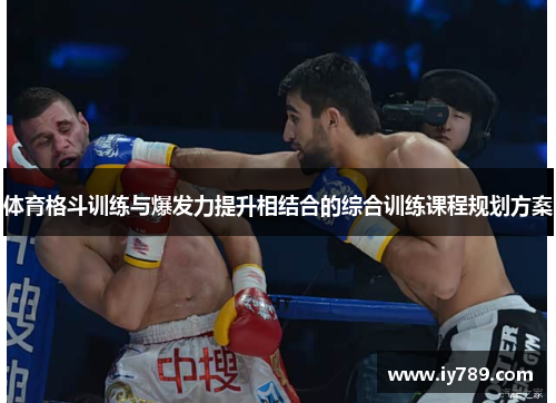 体育格斗训练与爆发力提升相结合的综合训练课程规划方案